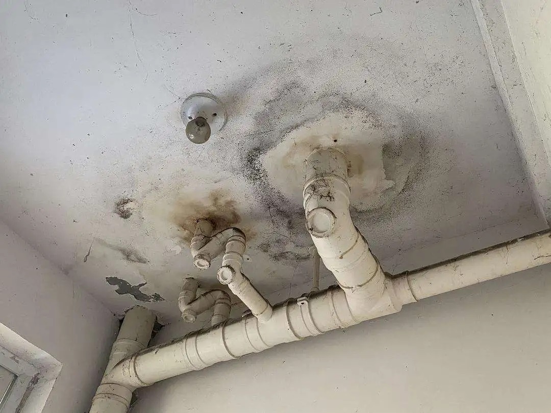 防水做了等于白做？青龍防水教你避開(kāi)施工8大坑，讓工程不再漏水！